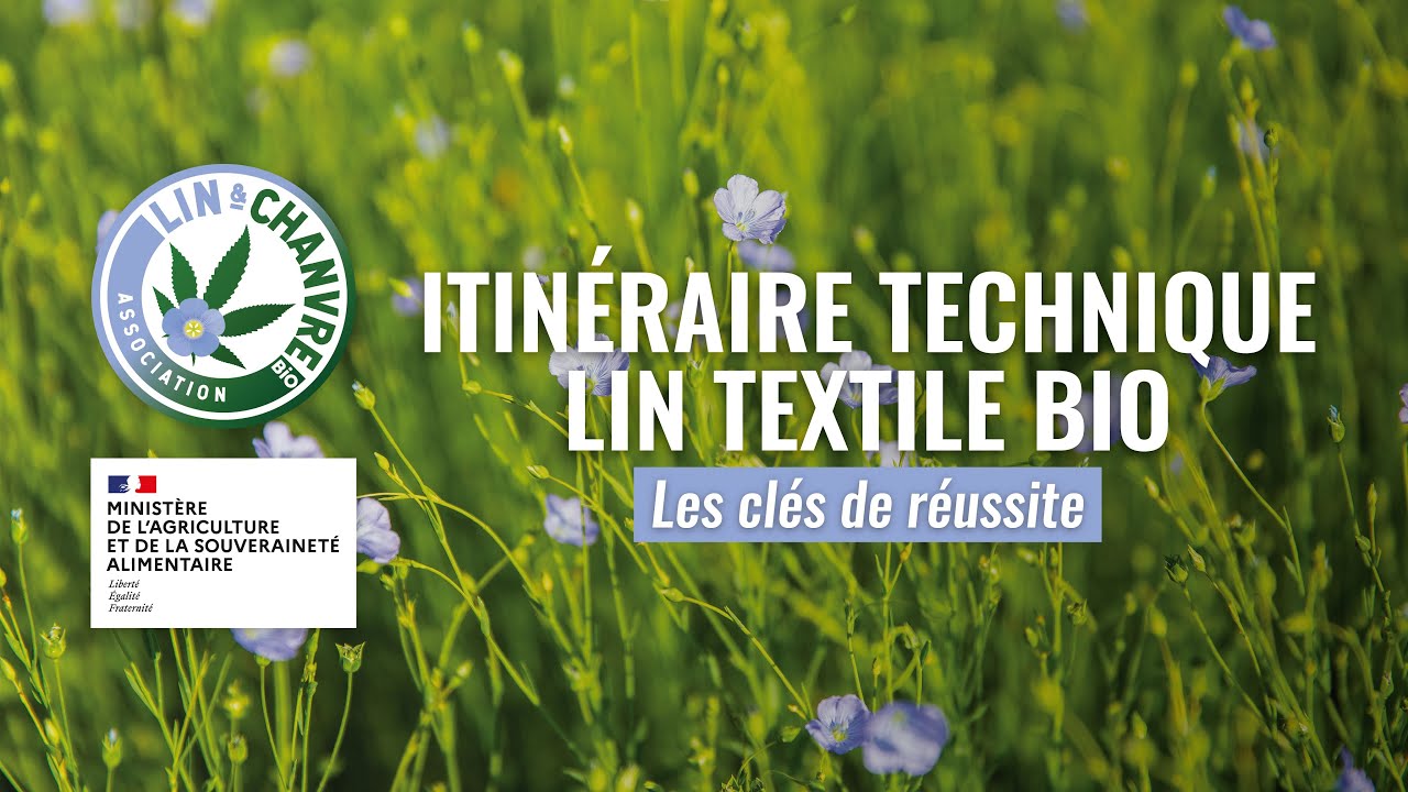 Itinéraire technique du lin textile en Agriculture Biologique