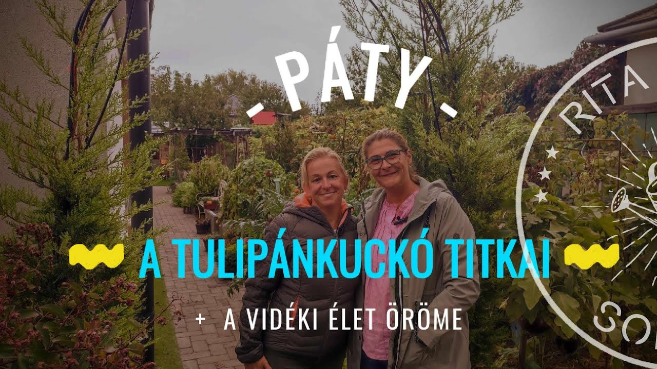 A Tulipánkuckó titkai
