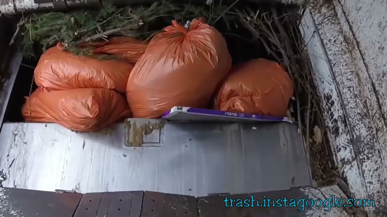 Smelly Trash Bags Meet the Crusher: Inside Garbage Truck Compaction