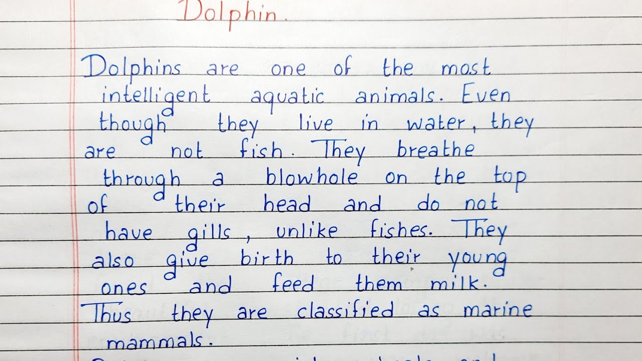 Weite a short essay on Dolphin | Essay Writing | English