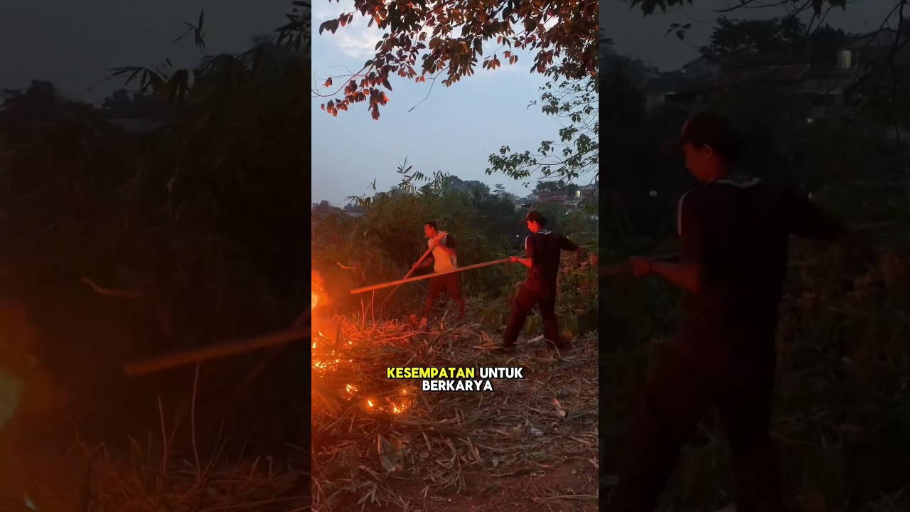 Aktivitas kandang & ladang Part 3🧑🏼&zwj;🌾 #peternakmuda #peternakayam #petanimuda