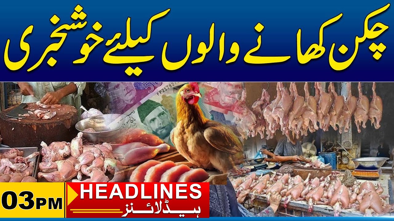 Good News For Chicken Lover | 3PM News Headlines I 25 Jan 2025 I City 41