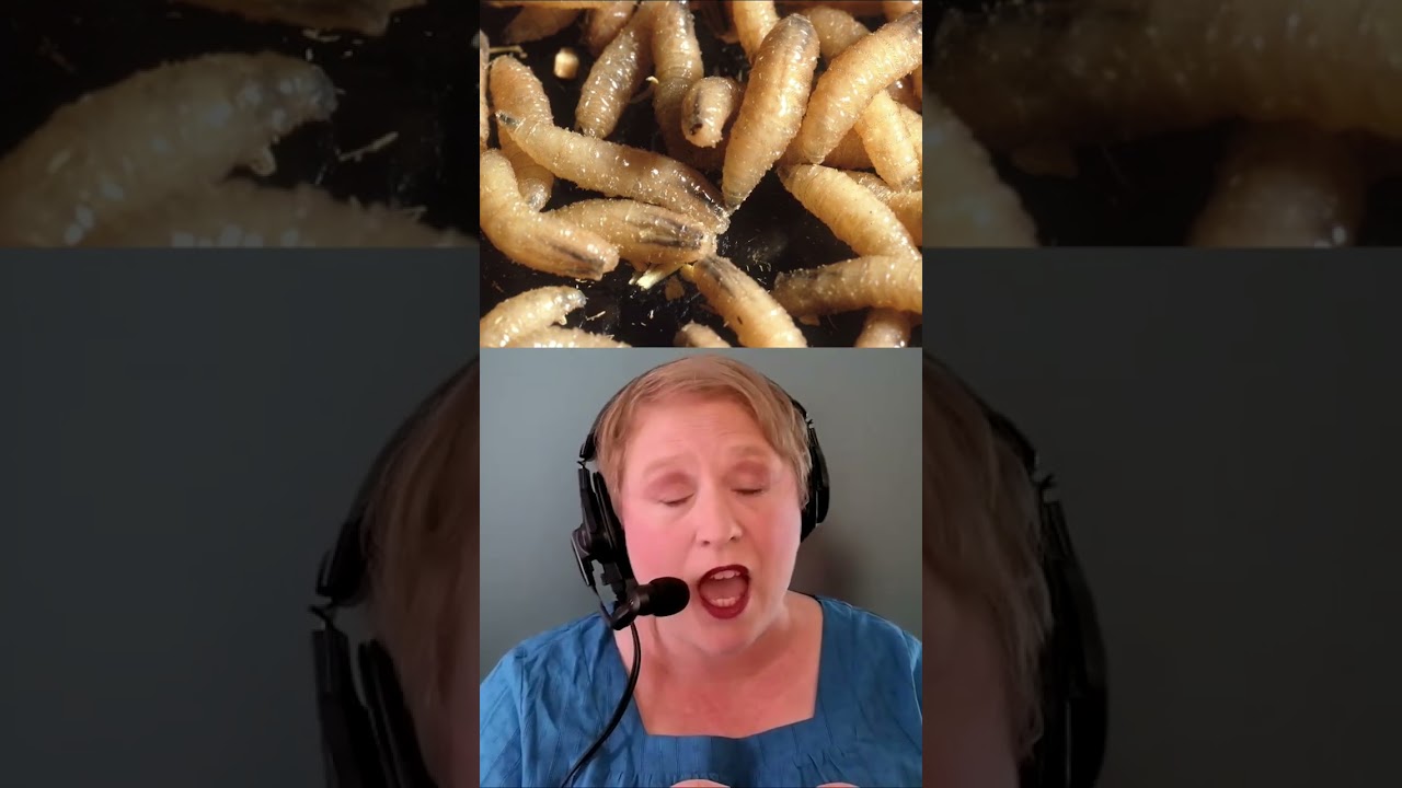 Внимание! Мясная муха: что вам нужно знать! #шорты