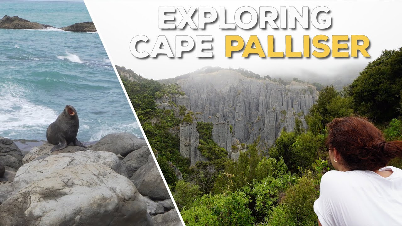 Wild Coast, Seals, Lighthouse & Putangirua Pinnacles | Exploring Cape Palliser