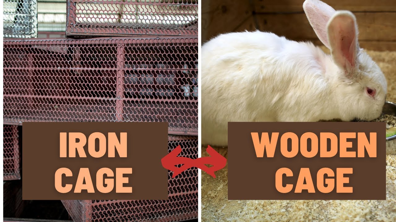 RABBIT CAGE | Iron Cage or Wooden Cage