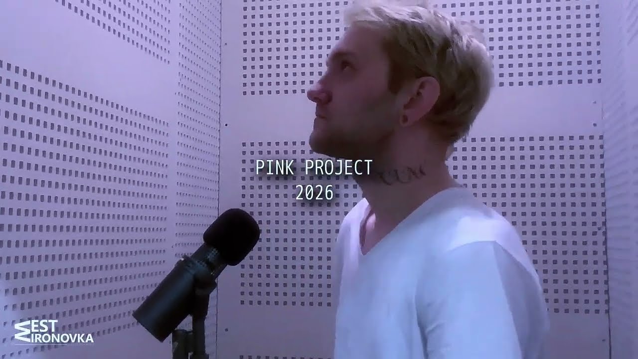 Sewerperson - bugs (cover by Pink Project)