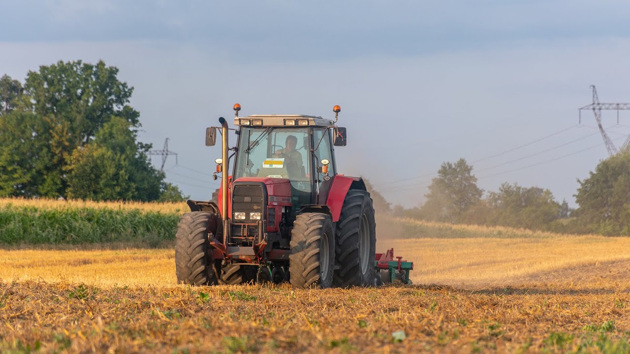 Vlog #3- Talerzowanie ścierniska |Massey ferguson 8110| Agro-masz at30