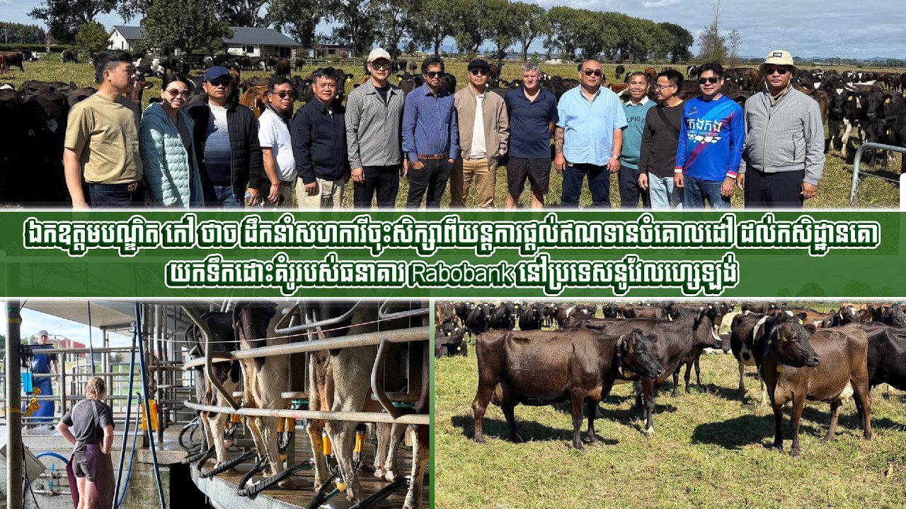 ឯកឧត្តមបណ្ឌិត កៅ ថាច ដឹកនាំសហការីចុះសិក្សាពីយន្តការផ្តល់ឥណទានចំគោលដៅ ដល់កសិដ្ឋានគោយកទឹកដោះ