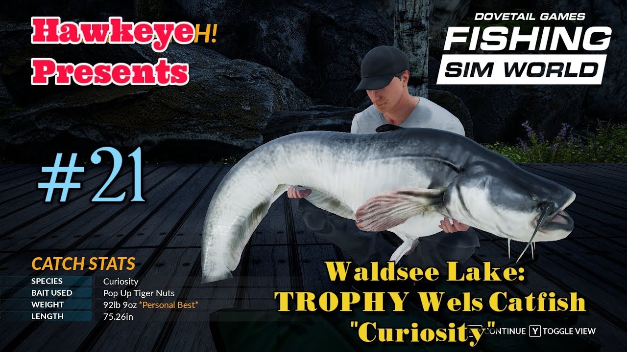 Fishing Sim World - #21 - Waldsee Lake: TROPHY Wels Catfish - "Curiosity"
