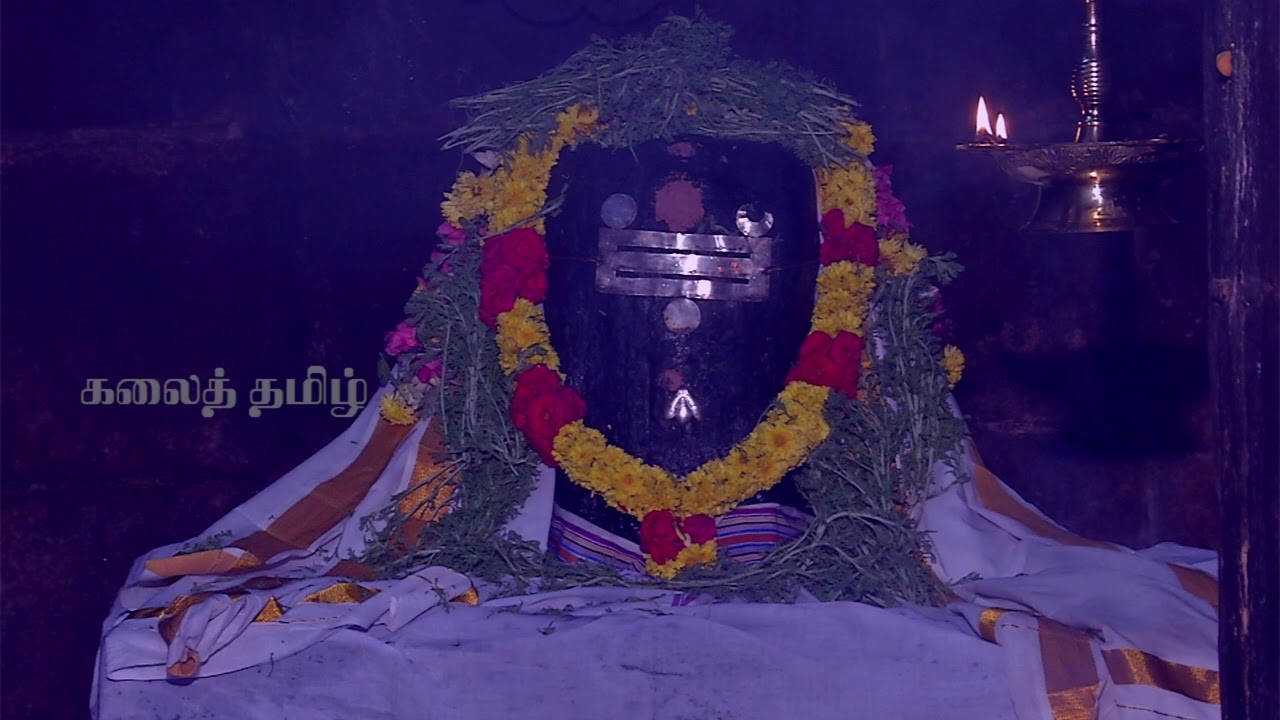 #மகாசிவராத்திரி சிறப்பு பாடல்கள் | மகா சிவராத்திரி அன்று கேட்க வேண்டிய சிவன் பாடல் ஓம் சிவாய நம