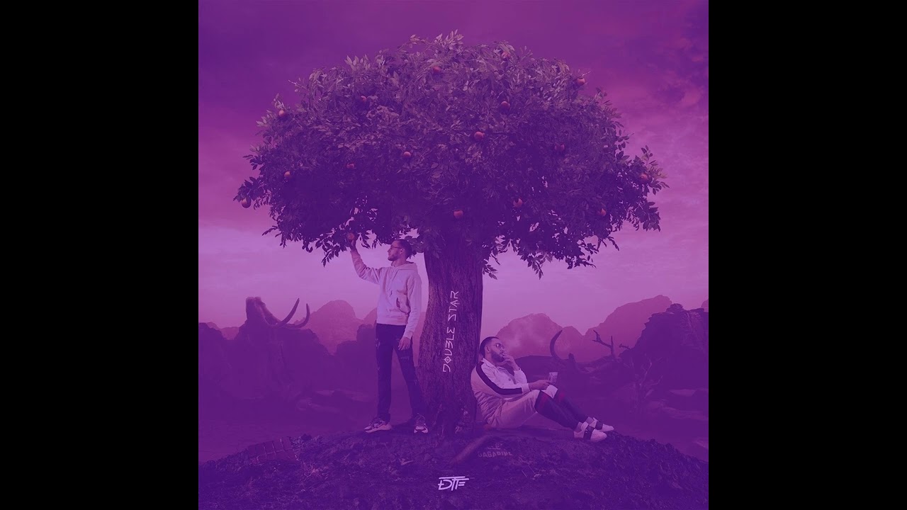 DTF Dans la savane (Slow and reverb)