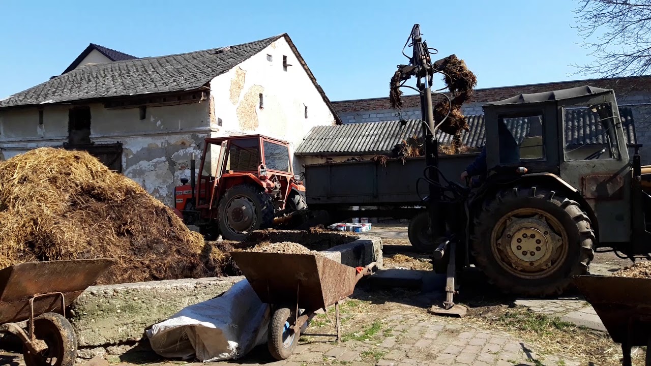 Ładowanie obornika.