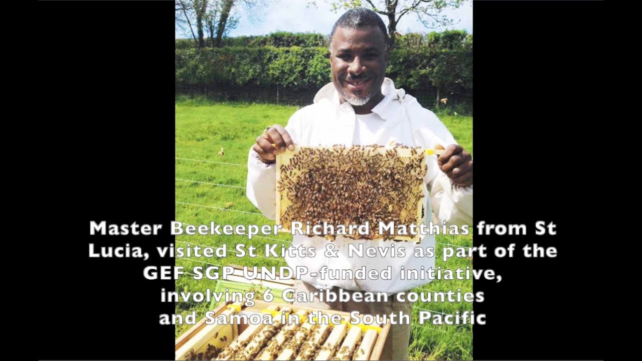 🇰🇳 🐝 Dem Say: Expert perspectives with Master Beekeeper, Richard Matthias