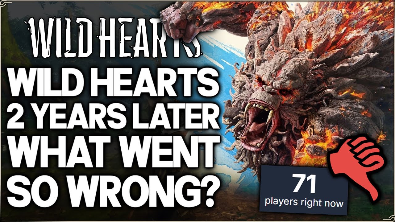 Wild Hearts After 2 Years... (What Went Wrong?)