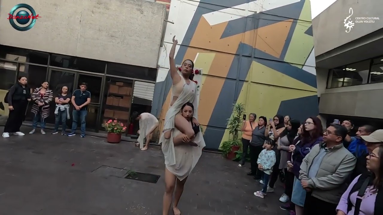 CODICE 7.0   Página 1