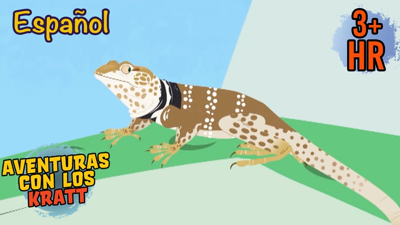 Buscando un lagarto misterioso [episodios completos] Aventuras con los Kratt