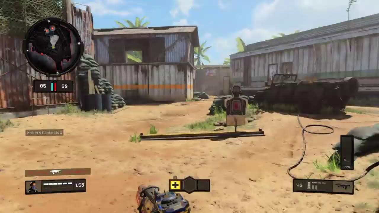 BO4 Customs|The worst POV |