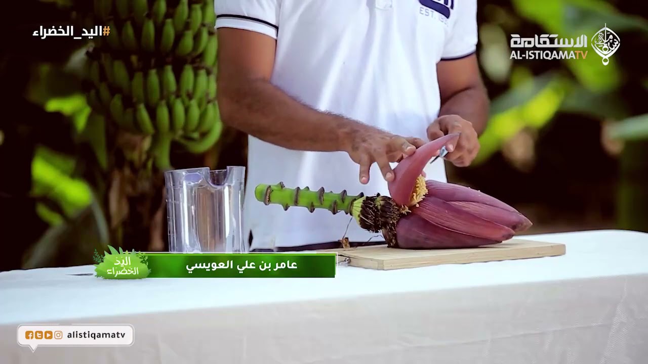 إستخدام زهرة شجرة الموز لتسميد العضوي - ح32 - اليد الخضراء