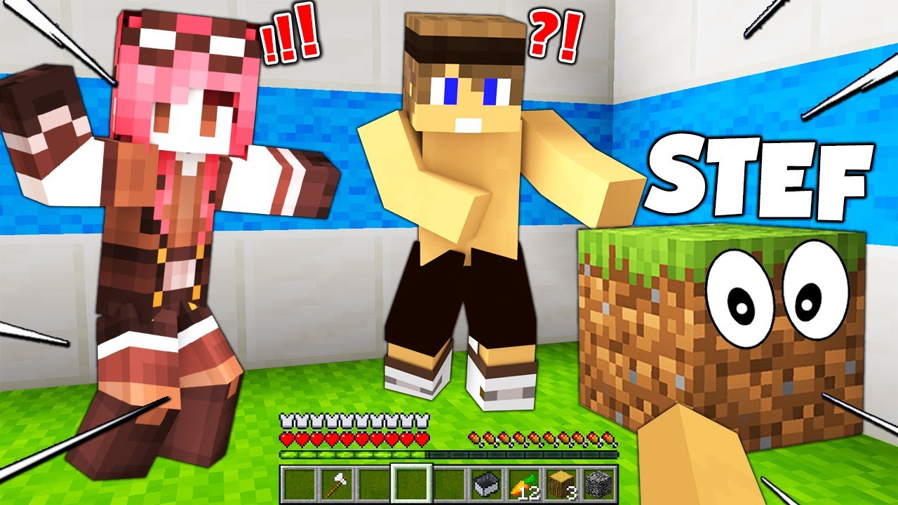 *NUOVA SFIDA* NASCONDINO DEGLI YOUTUBER!! - Minecraft ITA