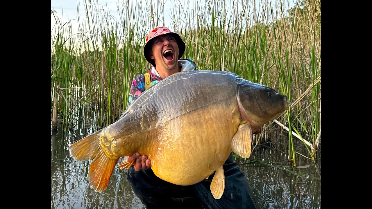 Podcast TTCarp - 30 trudnych pytań od widzów do właścicieli TTCarp
