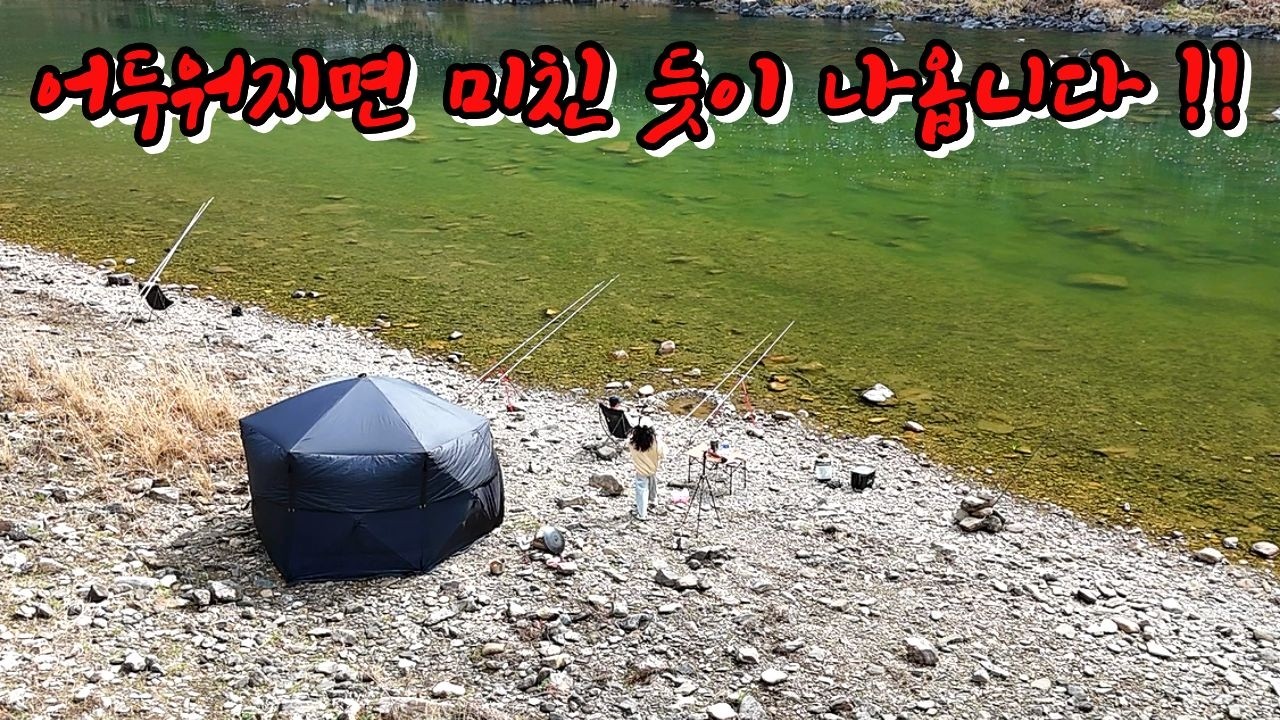 민물낚시 시즌 시작! 수천 마리가 바닥에 깔려있다!
