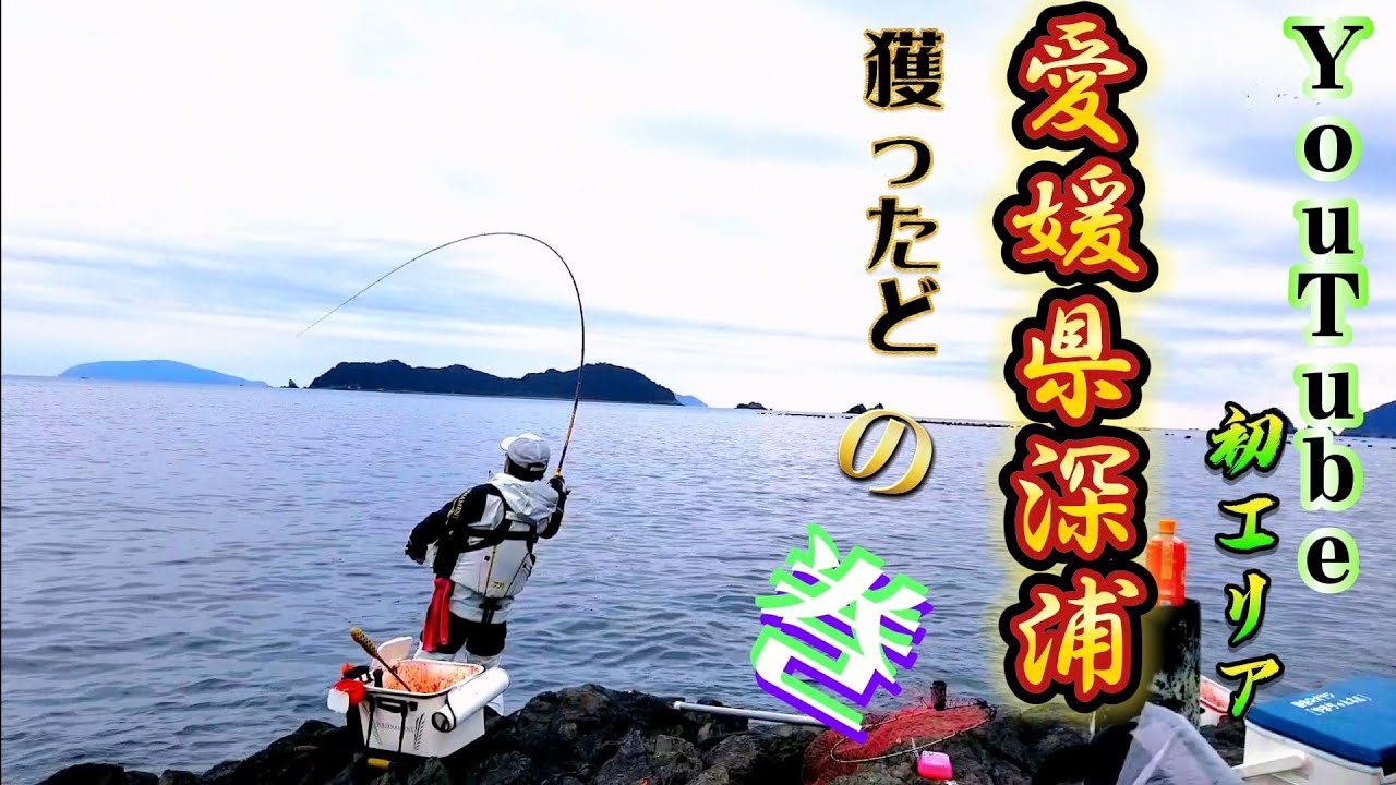 1/3【愛南町】(深浦)ベタ潮の中　ヒラバエで✨️でたでた⤴️50オーバー❔