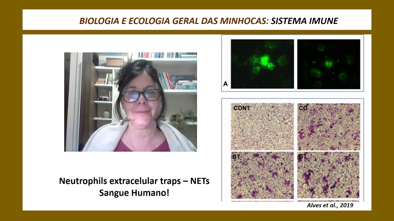VIDEO SEMINARIO BIOGENOMICA BIOLOGIA GERAL DAS MINHOCAS