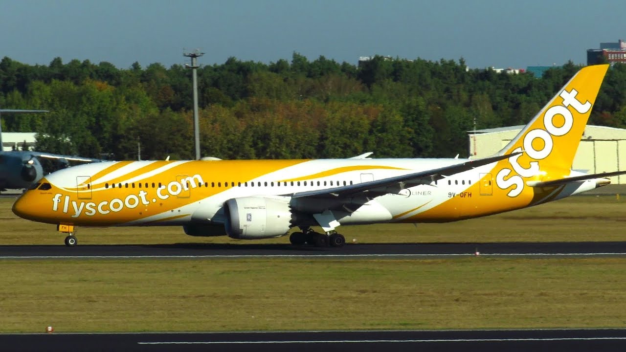 ALL HEAVY AIRCRAFT flying into Berlin Tegel Airport Regularly! Qatar, Hainan, United, Scoot, ...