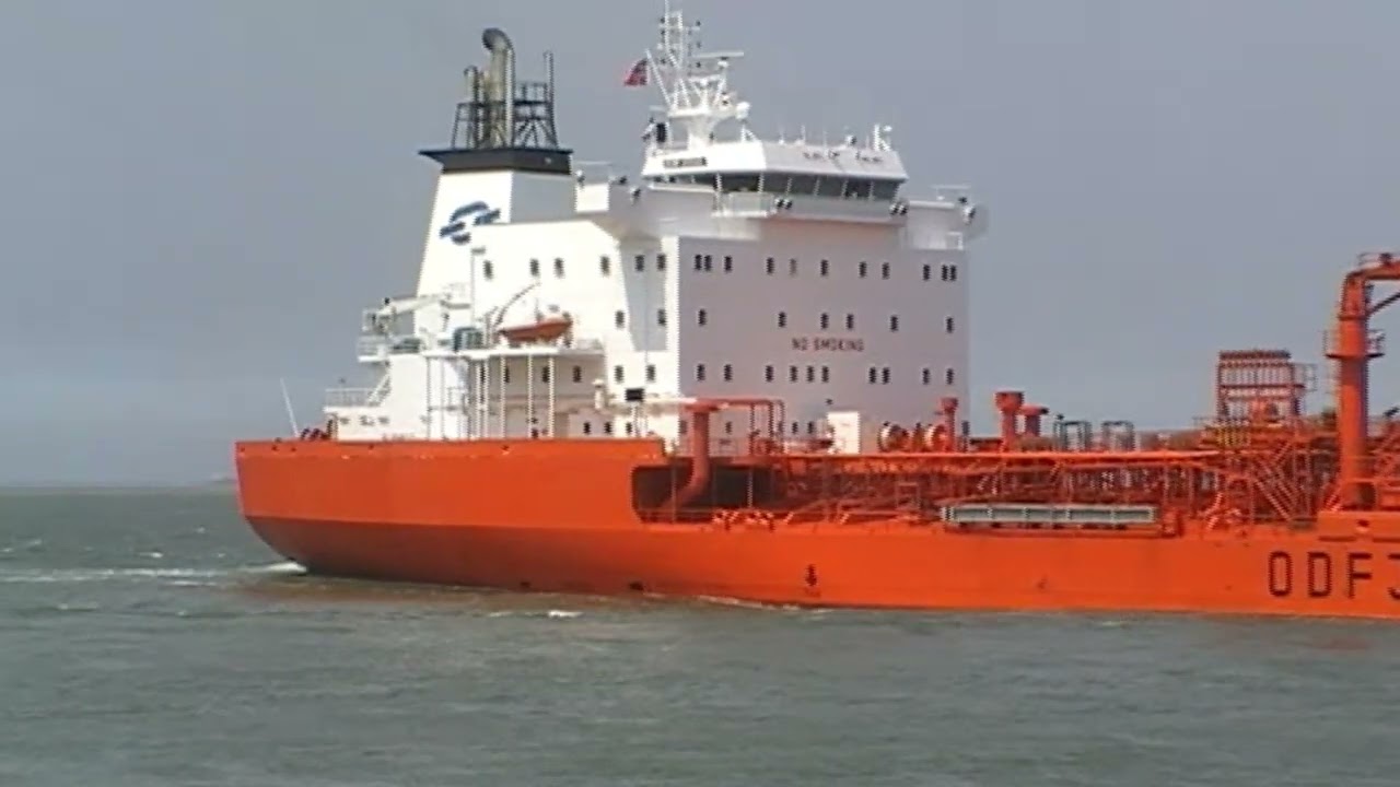 MORE FROM THE SCHELDE