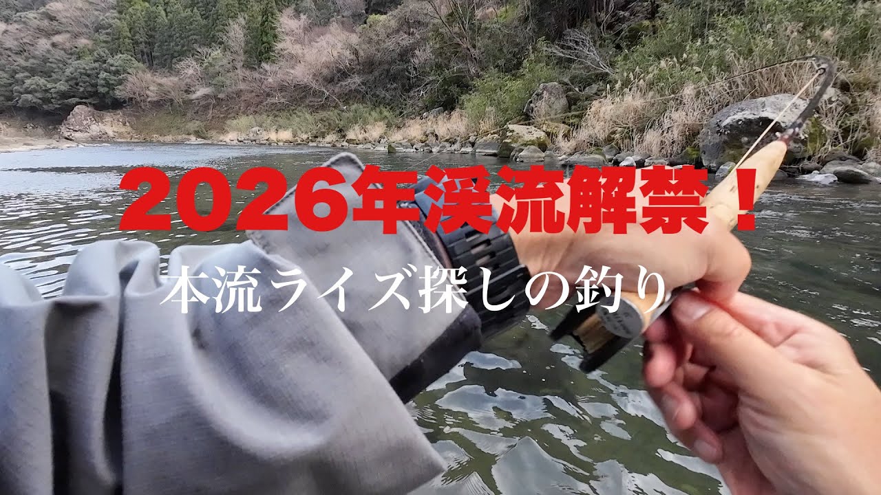 2026年渓流解禁。本流ライズの釣りスタート！　【フライフィッシング】