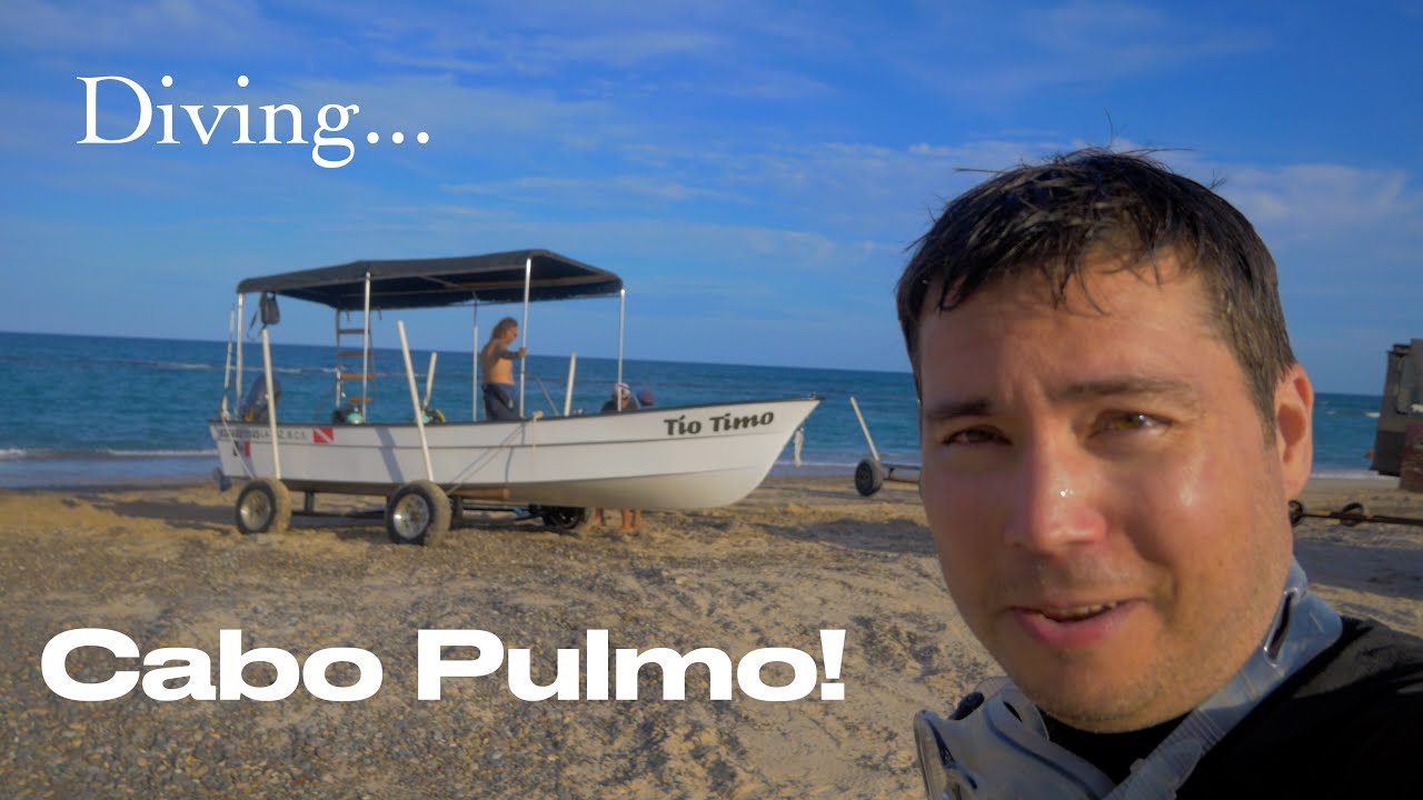 Diving Cabo Pulmo! Better than I expected!
