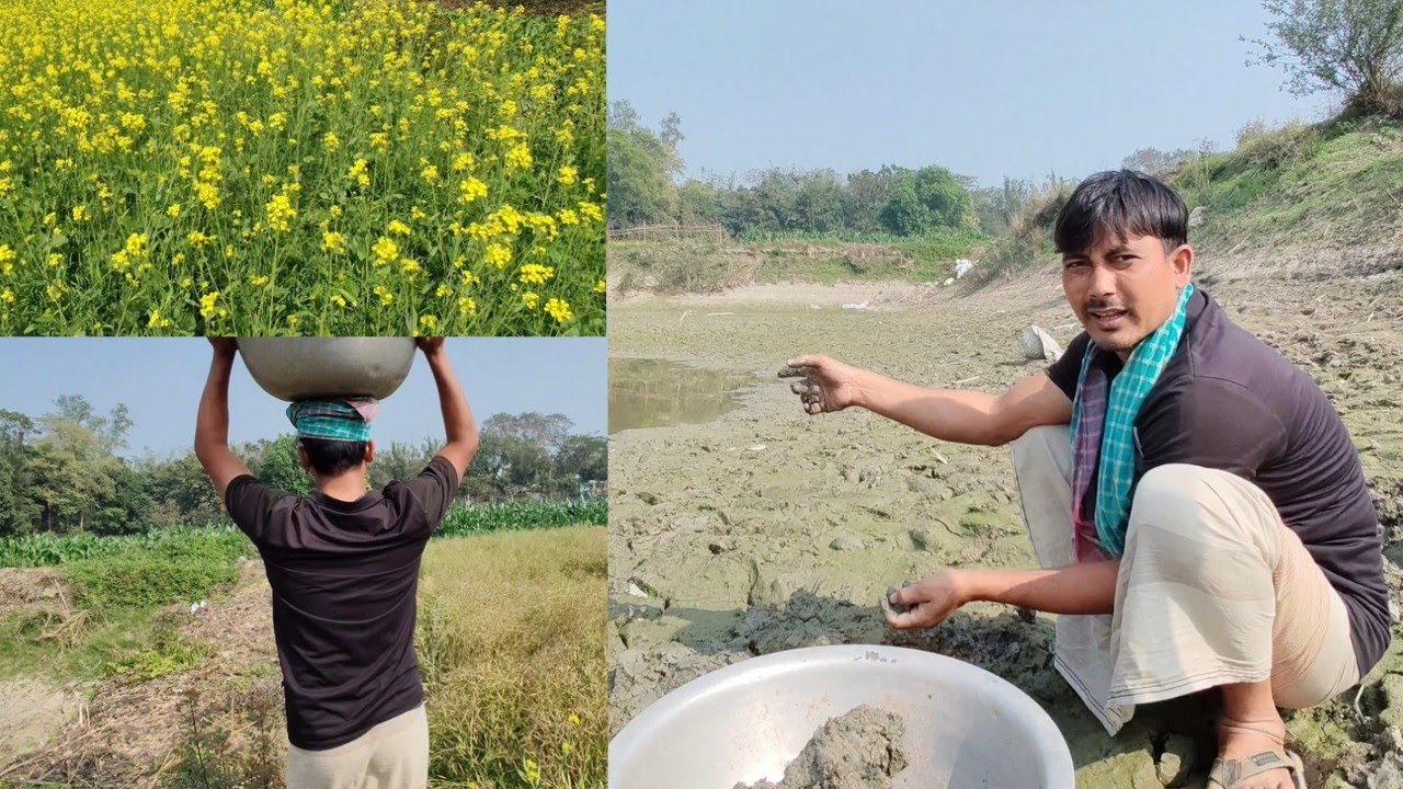 সুযোগ বুঝে বউয়ের সব কাজ আমার ঘাড়ে 🤭