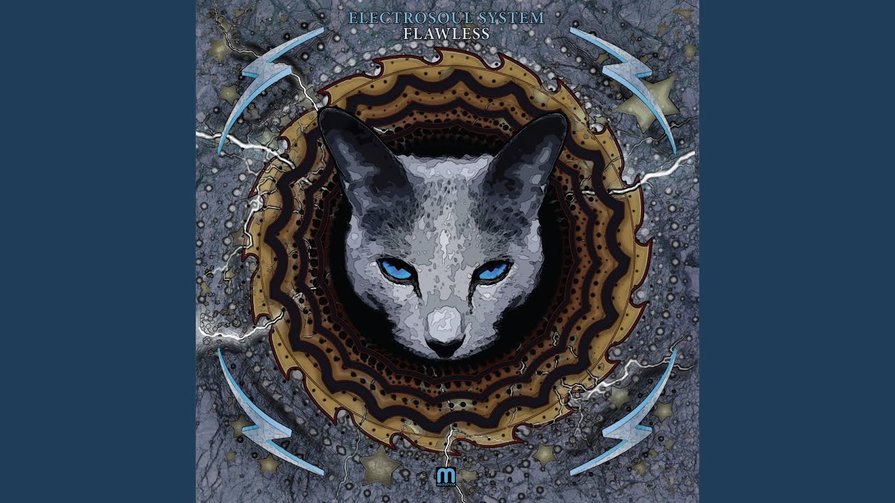 Shadow (feat. Deeizm)