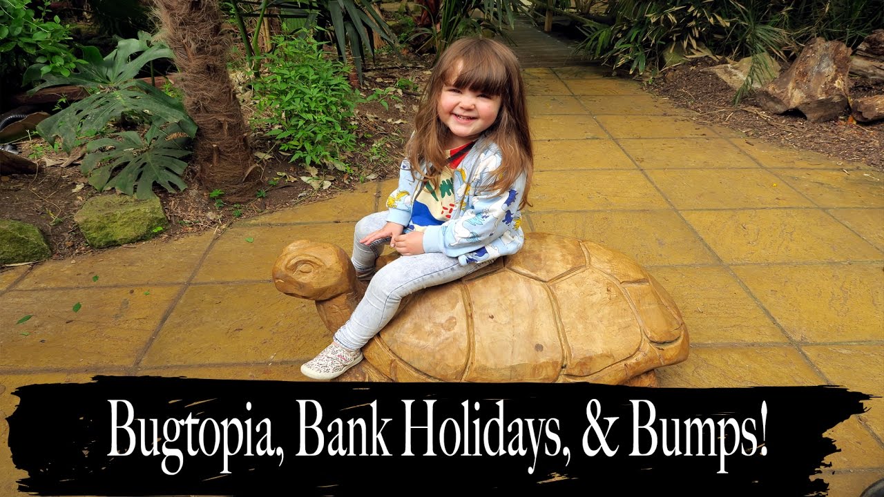 Bugtopia, Bank Holidays, & Bumps!