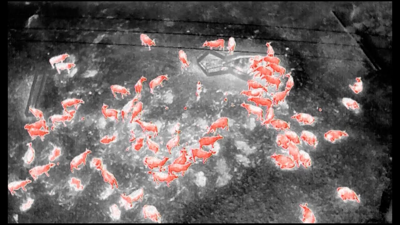 Beefree Agro night scan for farm security