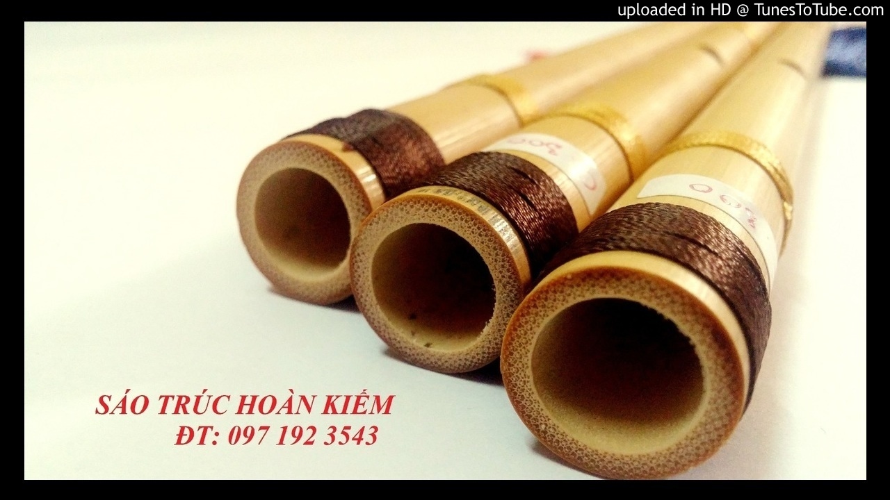 Beat C5 Lưu Thủy Kim Tiền Xu&acirc;n Phong Long Hổ - Beat Chất Lượng