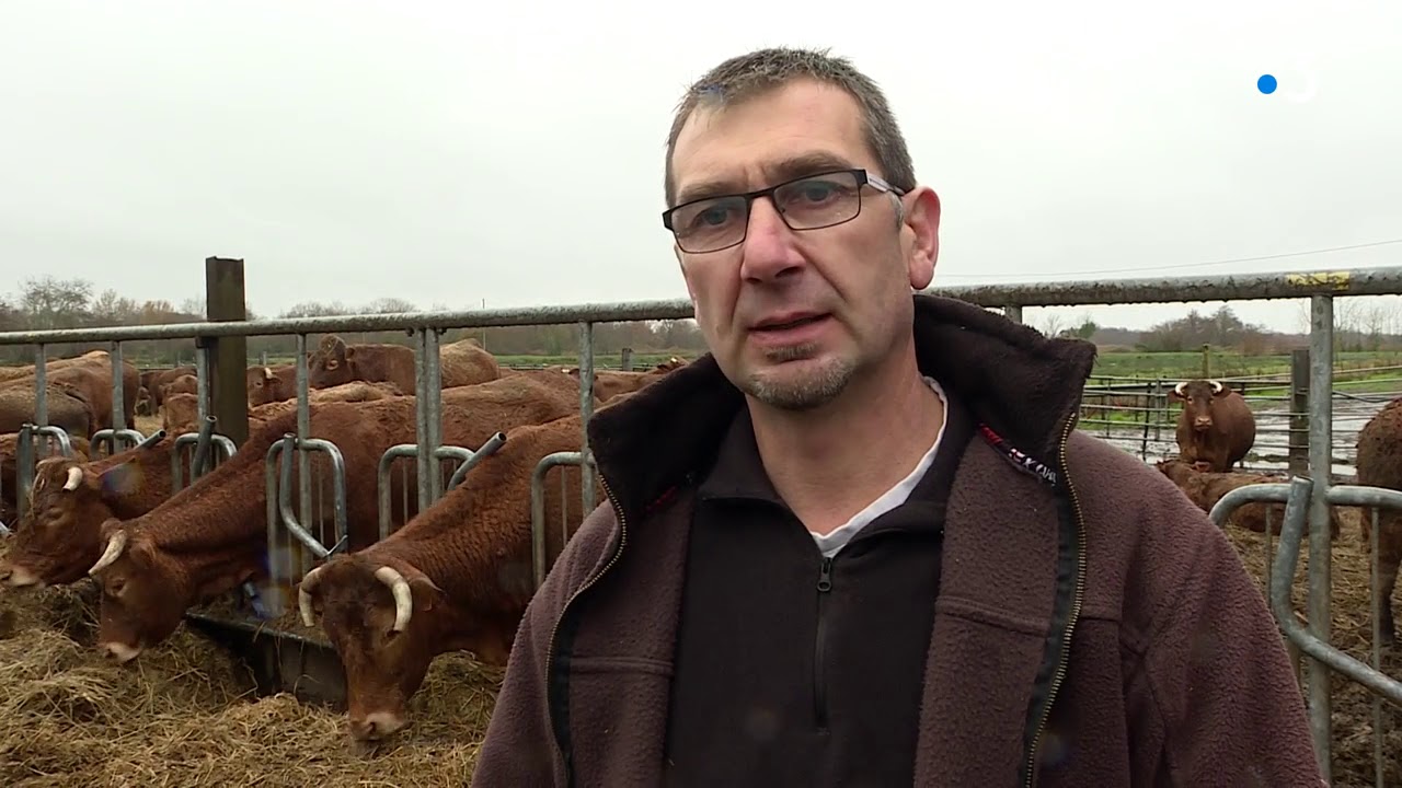 Tempête de 1999 : retour 20 ans après dans les communes inondées en Gironde
