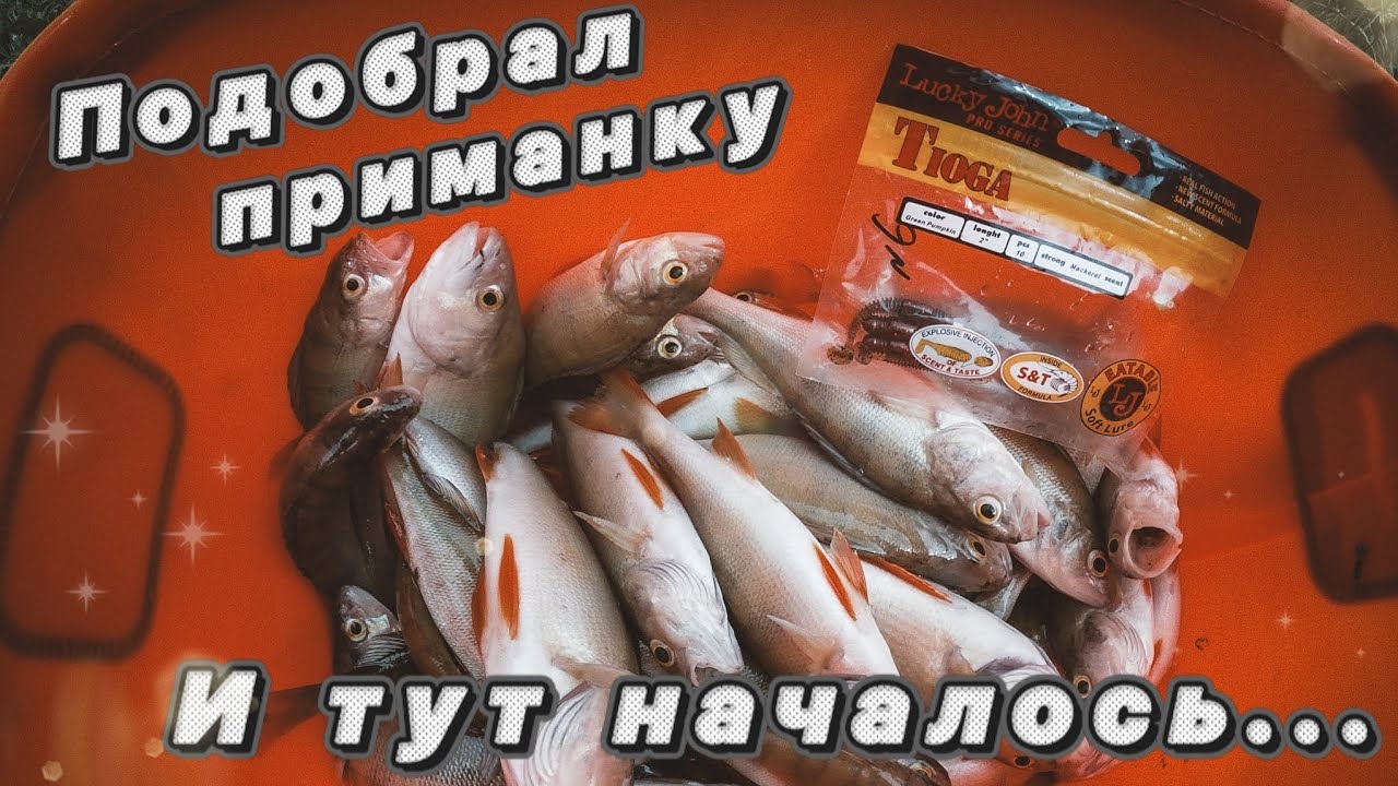 Рыбалка на спиннинг! Подобрал приманку и тут началось...