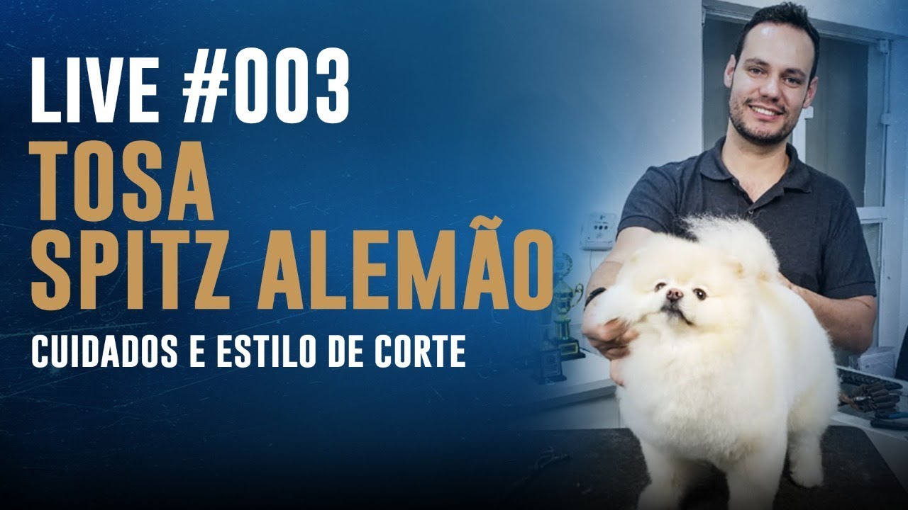 Live #003 - Tosa Spitz Alemão - Cuidados e Estilo de Corte