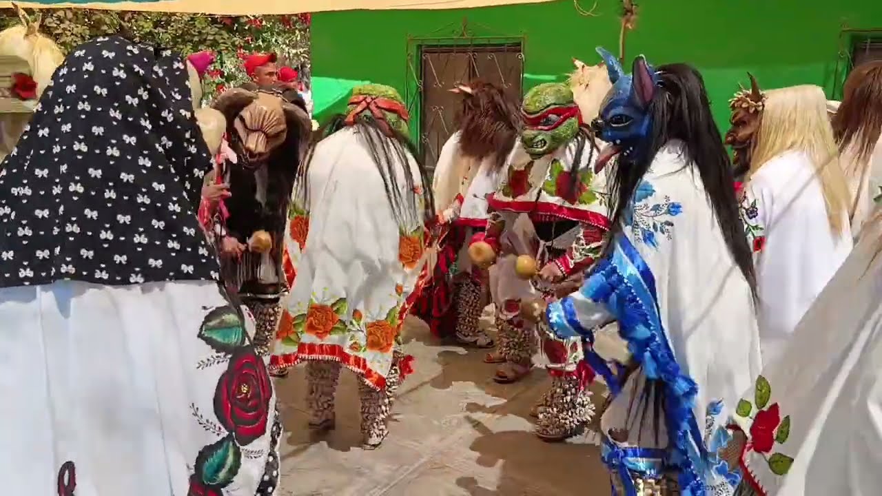 Cuarto CONTI viernes de judios en San Miguel Zapotitlán tradición indígena yoreme mayo.