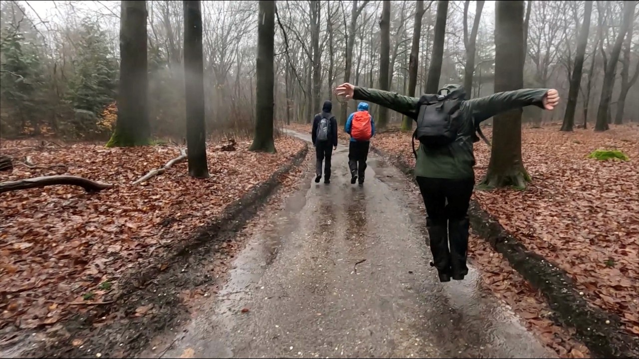 2026 20k wandeling in februari: Rondje Amerongen, Landgoed Prattenburg, Amerongse Bos, Amerongen