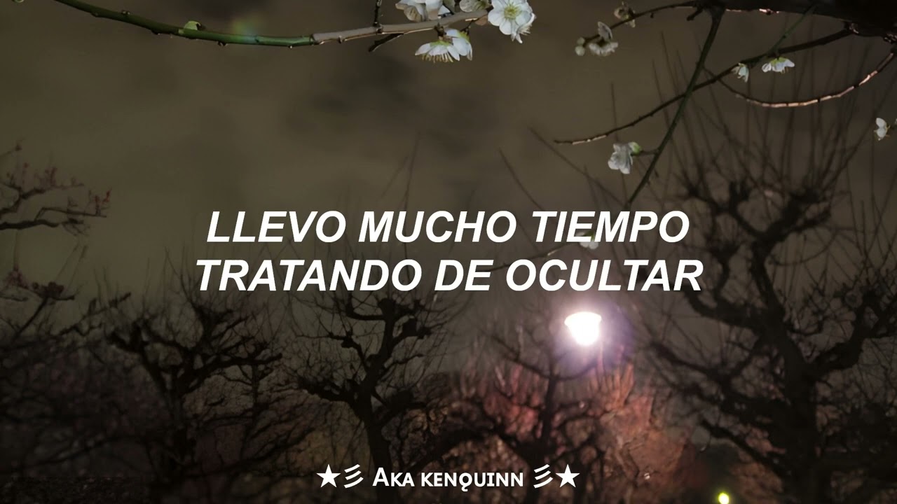 Jhonny Evidence X Lean & Akai - El Villano (Video Lyrics) 