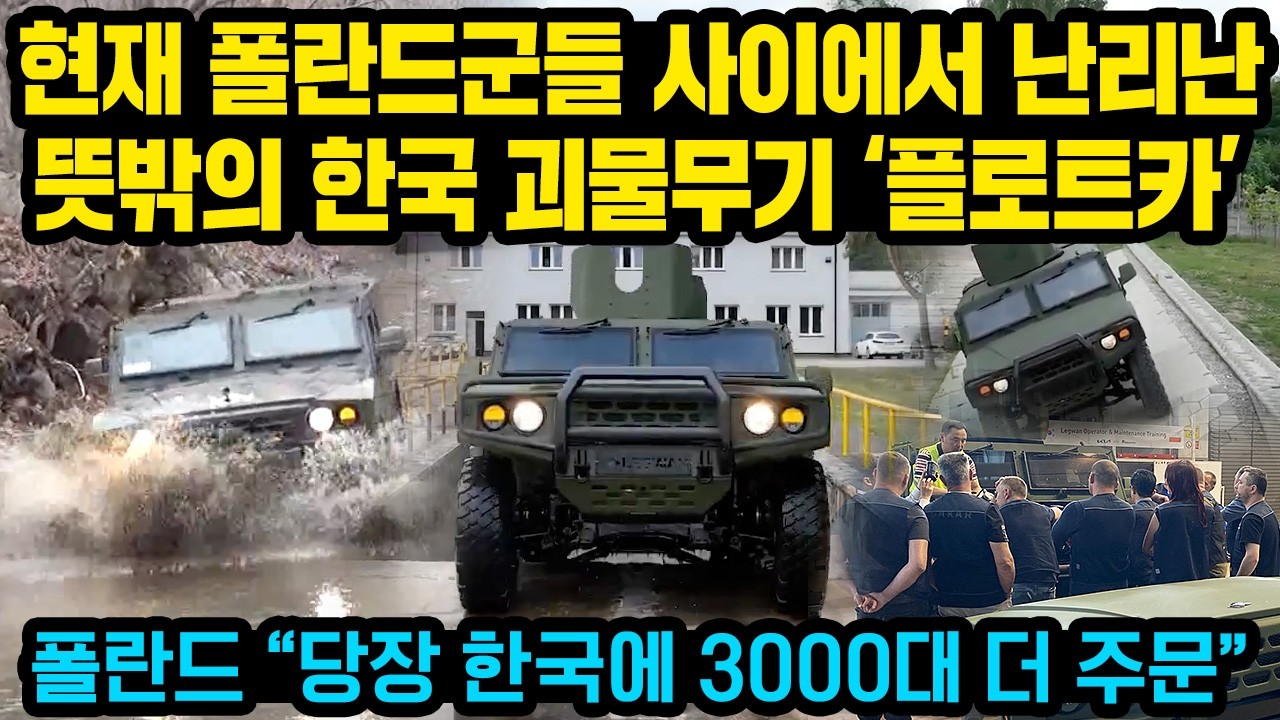 폴란드 현지에서 K2 보다 현재 더 극찬받고 있다는 뜻밖의 한국 괴물무기 &ldquo;진짜 무기에 미친 한국인들 ㅋㅋㅋ&rdquo; &rdquo;당장 3000대 더 주문&rdquo;