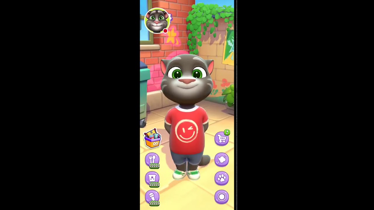 My talking tom live
