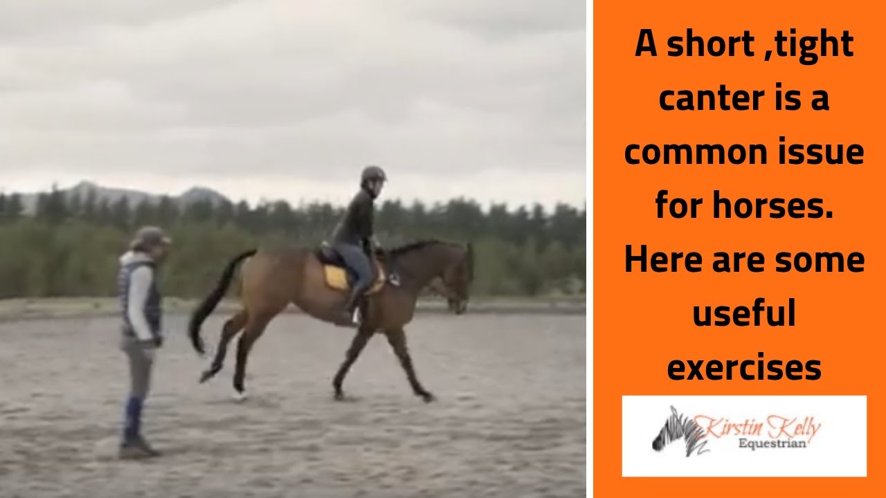 How to Improve a tight canter with Kirstin Kelly.