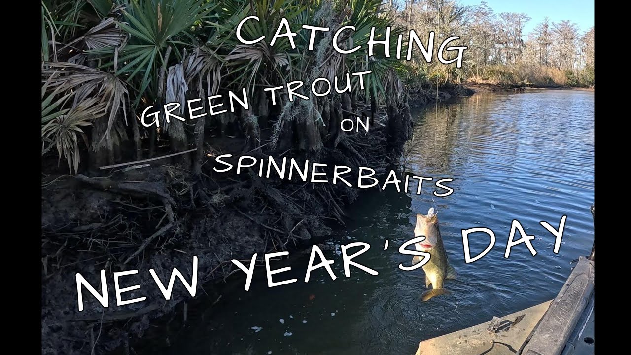 Catching Green Trout (BASS) on Spinnerbait NEW YEAR'S DAY