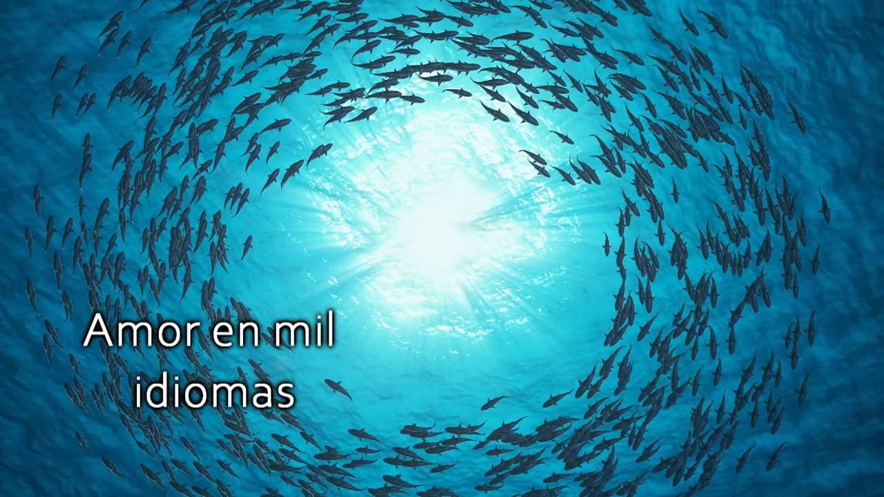 Amor en mil idiomas