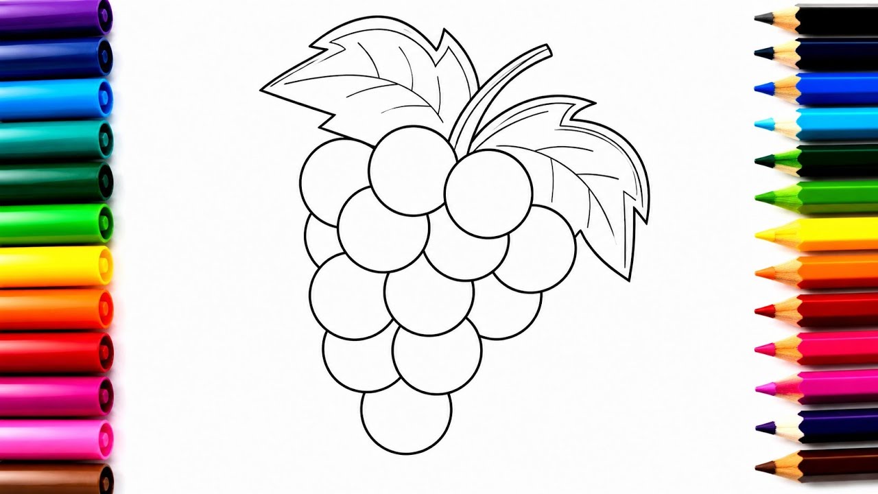 grape drawing 