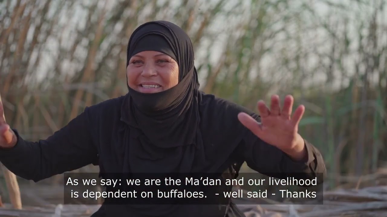 MEIHODO5782 The Marshes of iraq