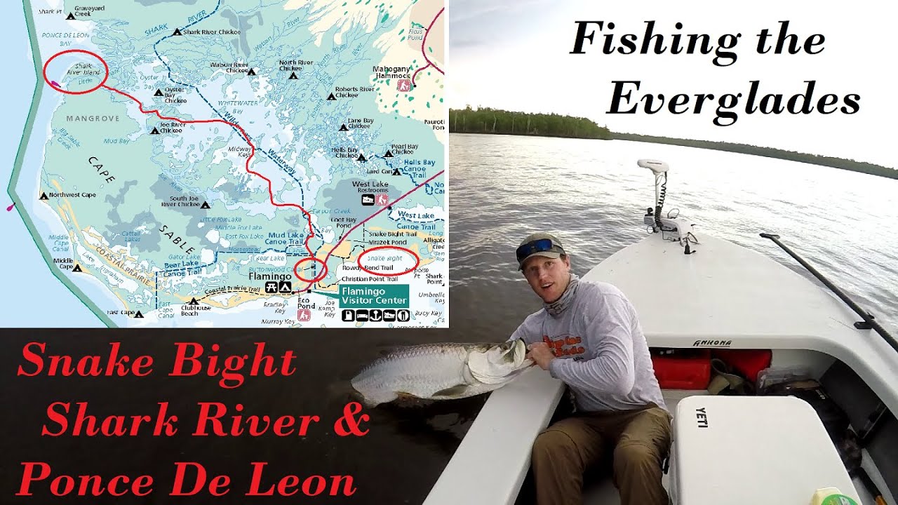 TARPON SNOOK REDFISH Everglades Adventure! Flamingo to Ponce de Leon Bay, Flats Fishing Snake Bight